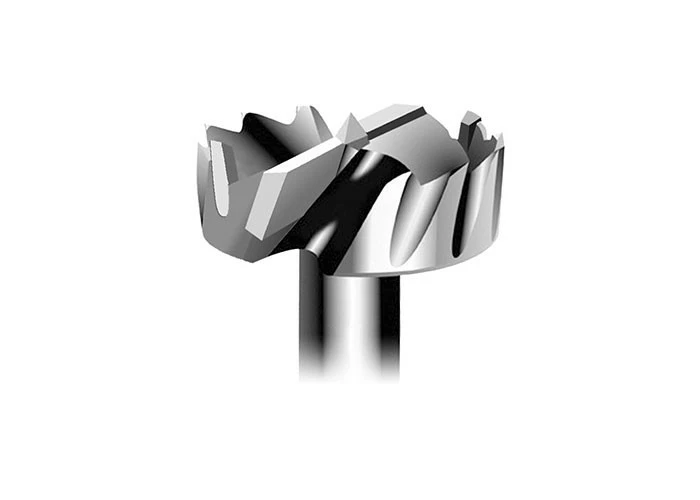 Forstnerbohrer Satz HM Bormax 6-tlg. – Bild 3